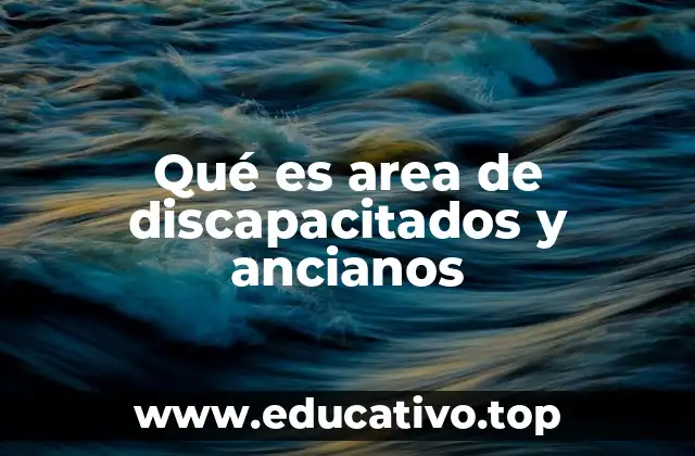 Qué es area de discapacitados y ancianos