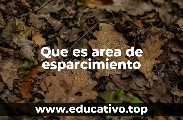 Que es area de esparcimiento