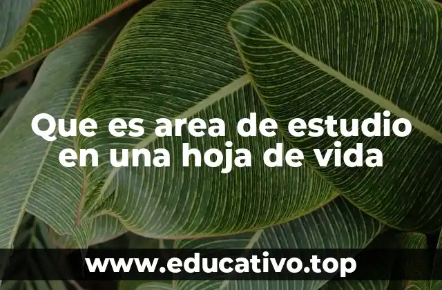 Que es area de estudio en una hoja de vida