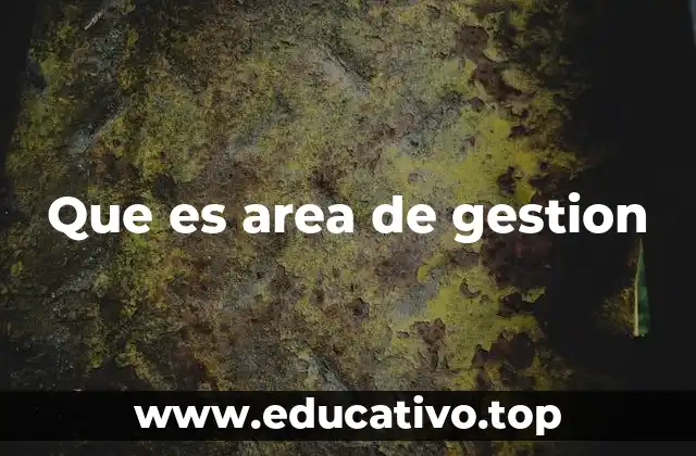 Que es area de gestion