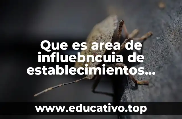 Que es area de influebncuia de establecimientos comerciales