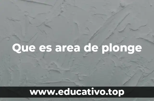 Que es area de plonge