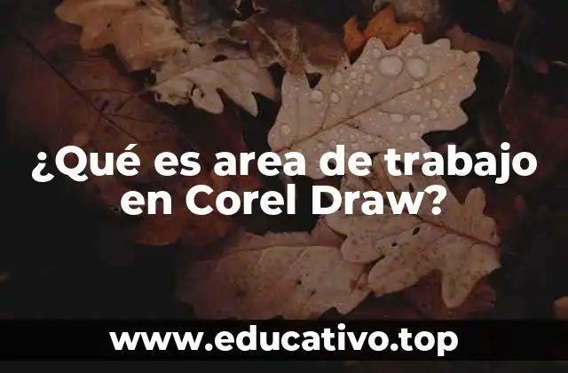 ¿Qué es area de trabajo en Corel Draw?
