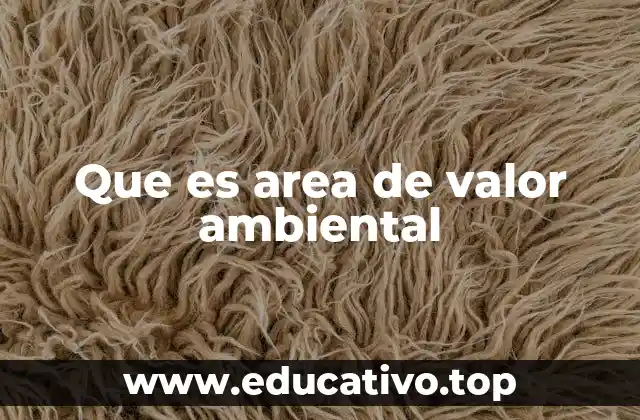 Que es area de valor ambiental