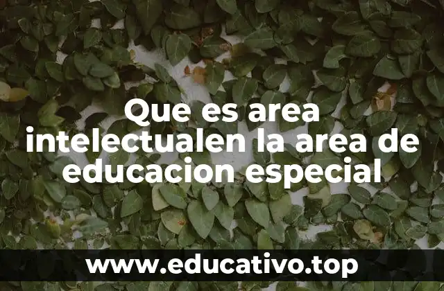 Que es area intelectualen la area de educacion especial