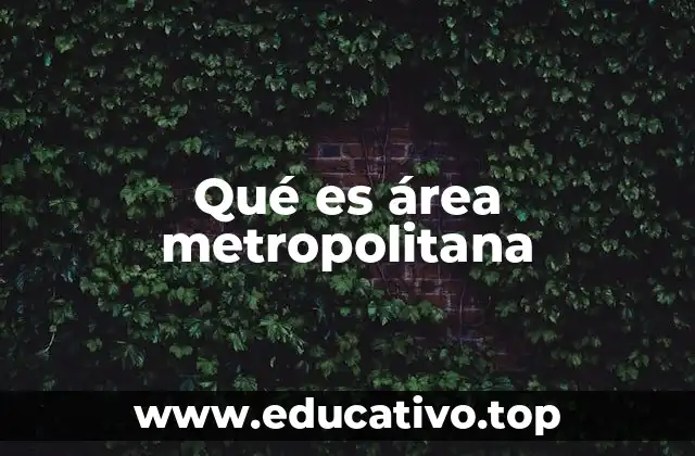 Qué es área metropolitana