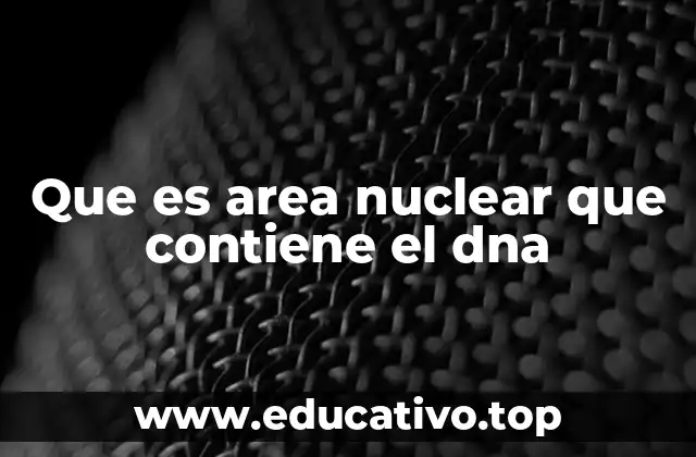 Que es area nuclear que contiene el dna