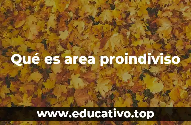 Qué es area proindiviso