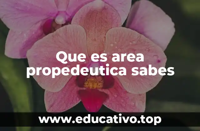 Que es area propedeutica sabes