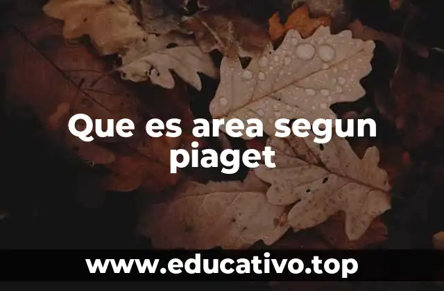 Que es area segun piaget