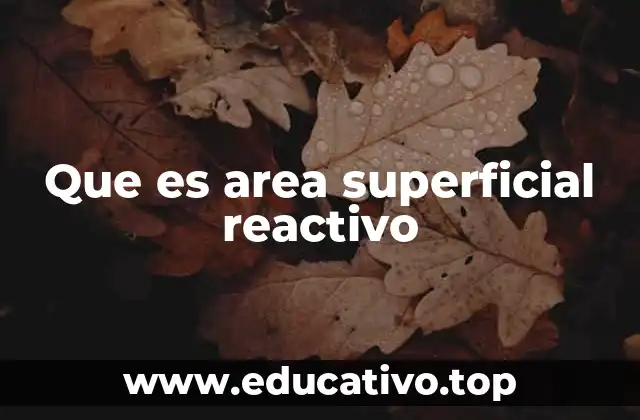 Que es area superficial reactivo