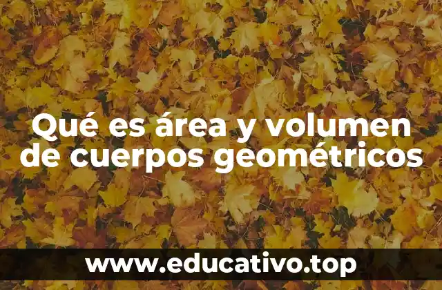 Qué es área y volumen de cuerpos geométricos