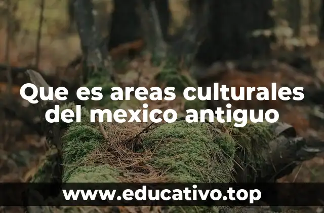 Que es areas culturales del mexico antiguo