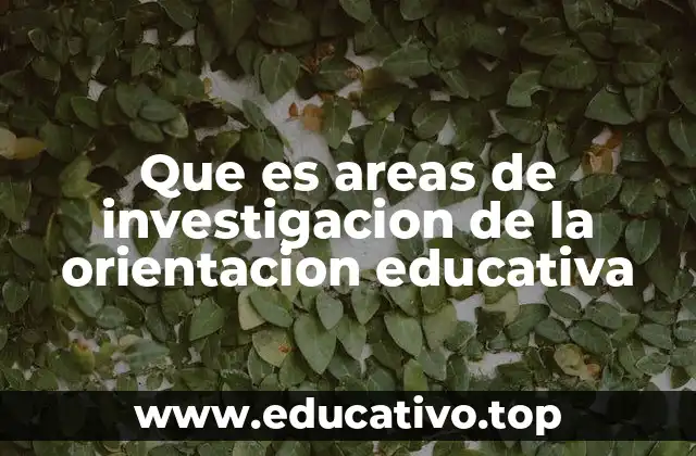 Que es areas de investigacion de la orientacion educativa