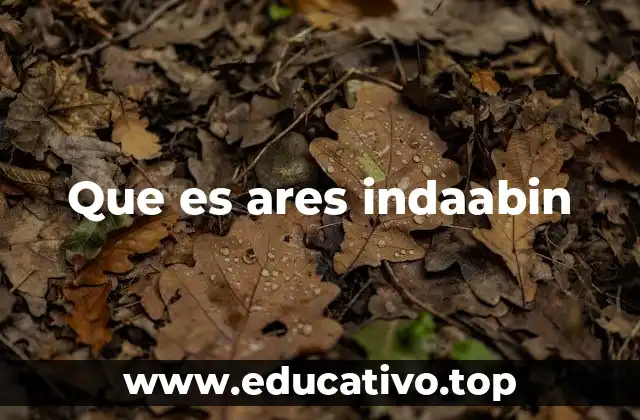 Que es ares indaabin