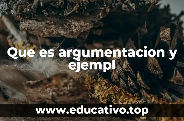 Que es argumentacion y ejempl