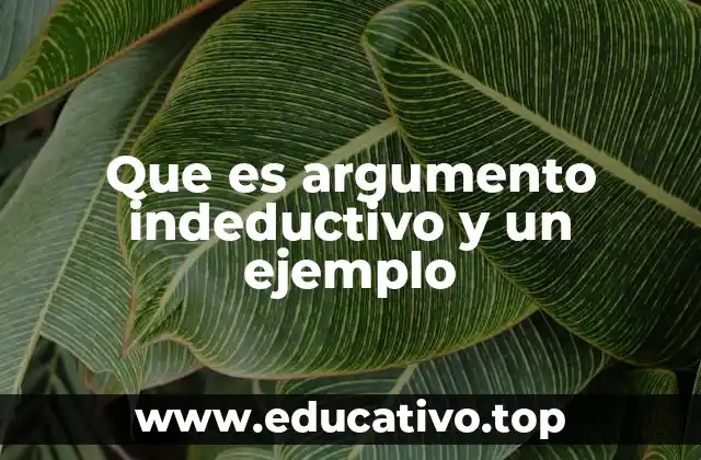 Que es argumento indeductivo y un ejemplo