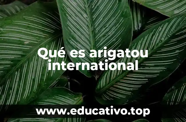 Qué es arigatou international