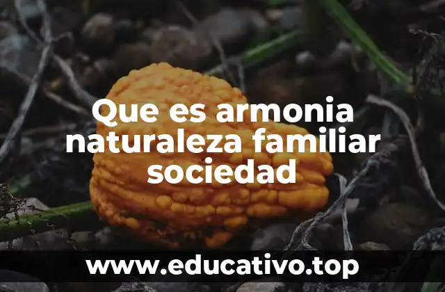 Que es armonia naturaleza familiar sociedad