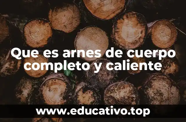 Que es arnes de cuerpo completo y caliente