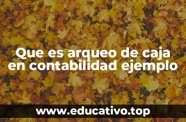 Que es arqueo de caja en contabilidad ejemplo