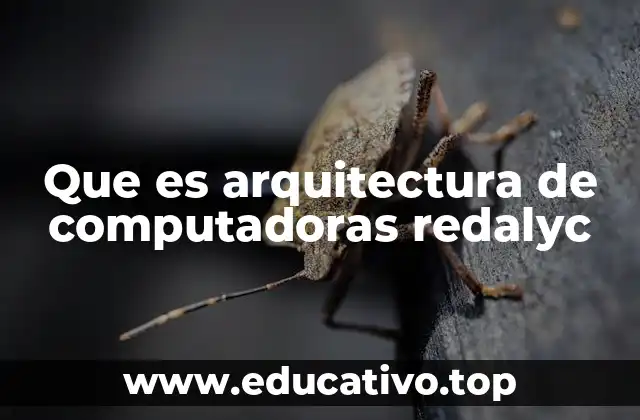 Que es arquitectura de computadoras redalyc