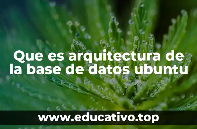 Que es arquitectura de la base de datos ubuntu