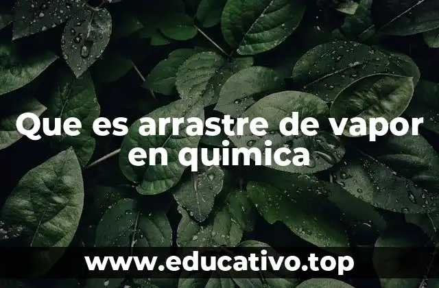 Que es arrastre de vapor en quimica