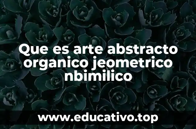 Que es arte abstracto organico jeometrico nbimilico