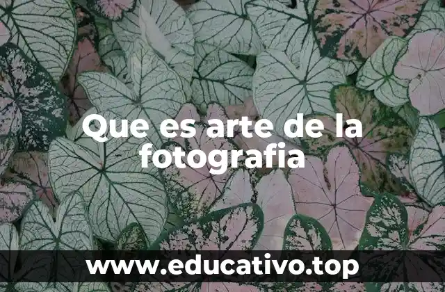 Que es arte de la fotografia