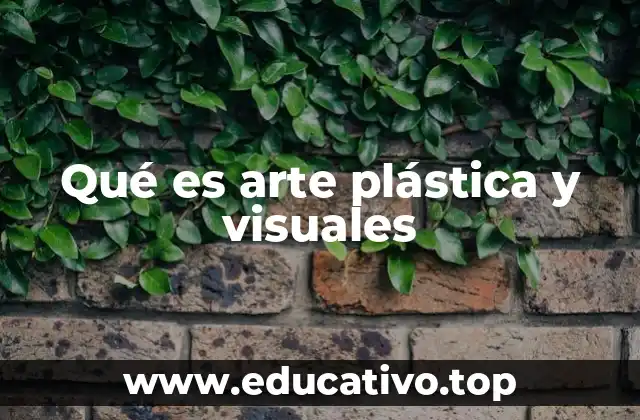 Qué es arte plástica y visuales