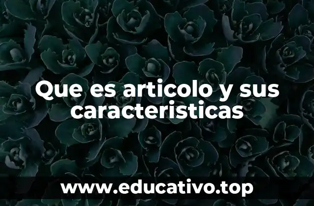 Que es articolo y sus caracteristicas