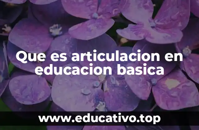 Que es articulacion en educacion basica
