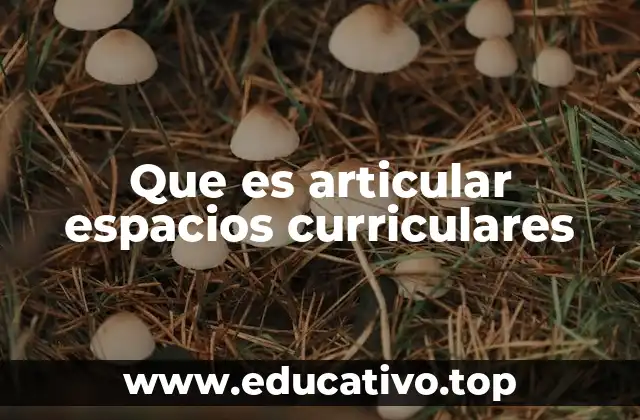 Que es articular espacios curriculares