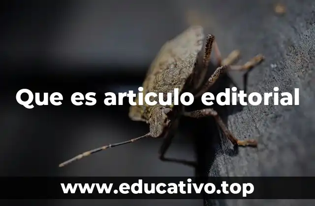 Que es articulo editorial