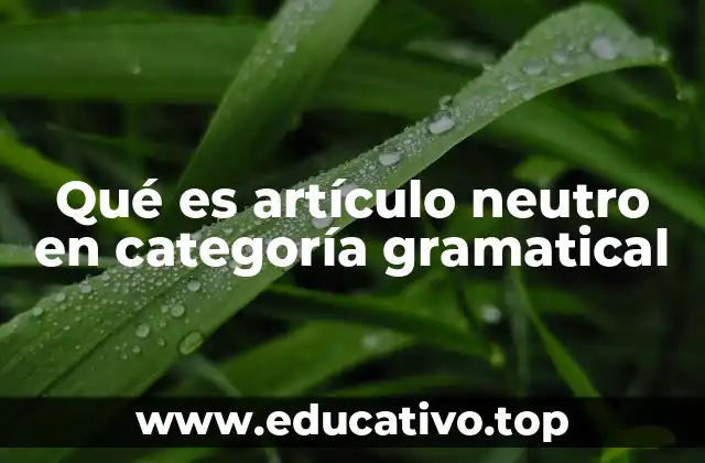 Qué es artículo neutro en categoría gramatical