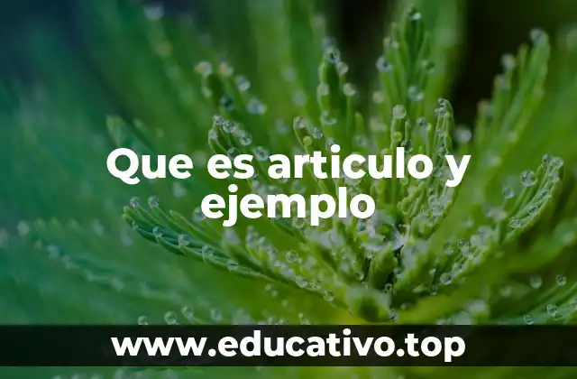 Que es articulo y ejemplo