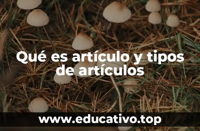 Qué es artículo y tipos de artículos