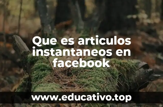 Que es articulos instantaneos en facebook
