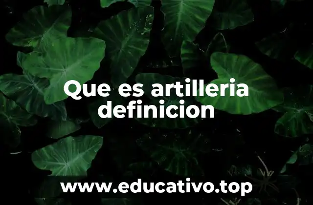 Que es artilleria definicion