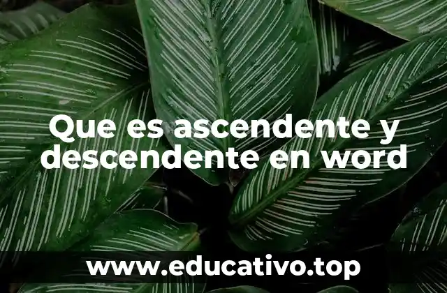 Que es ascendente y descendente en word