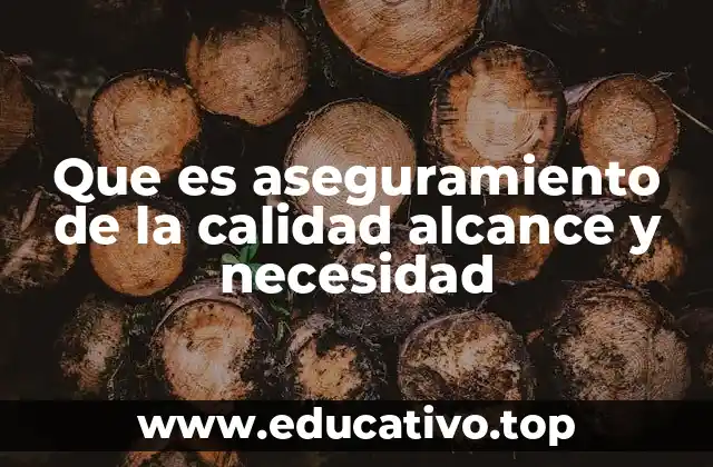 Que es aseguramiento de la calidad alcance y necesidad