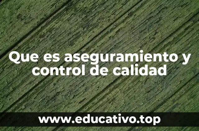 La importancia de la calidad en los procesos industriales