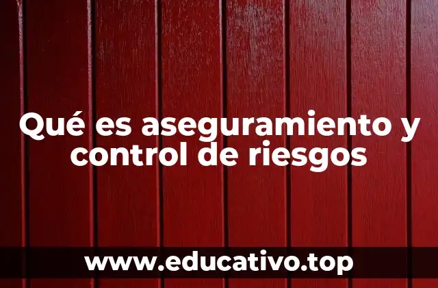 Qué es aseguramiento y control de riesgos