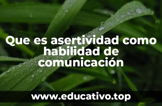 Que es asertividad como habilidad de comunicación