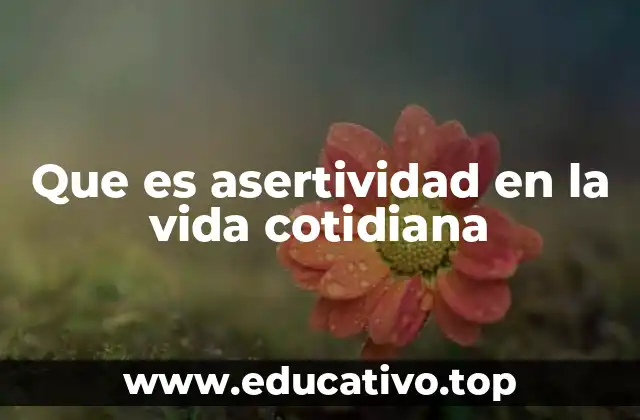 Que es asertividad en la vida cotidiana