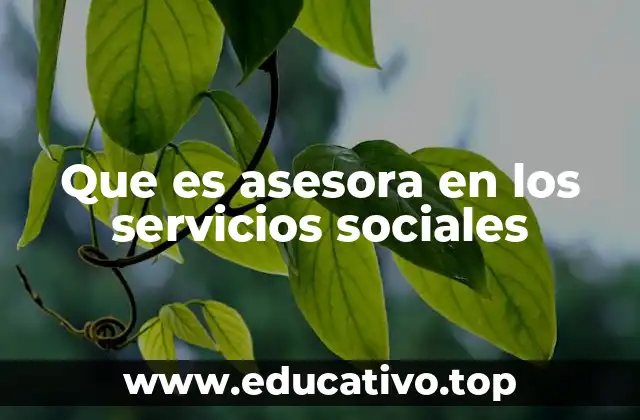 Que es asesora en los servicios sociales