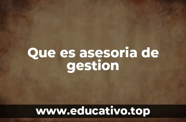 Cómo se aplica la asesoría de gestión en la práctica