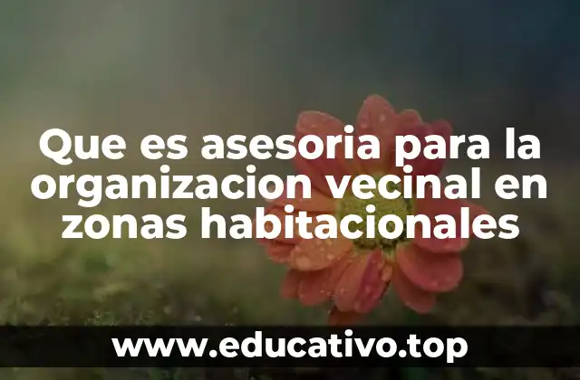 Que es asesoria para la organizacion vecinal en zonas habitacionales