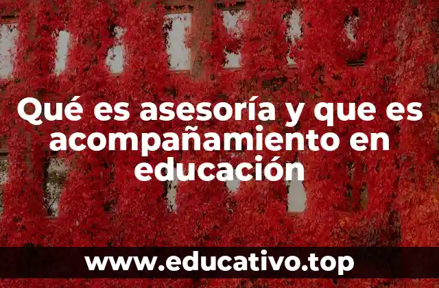 Qué es asesoría y que es acompañamiento en educación